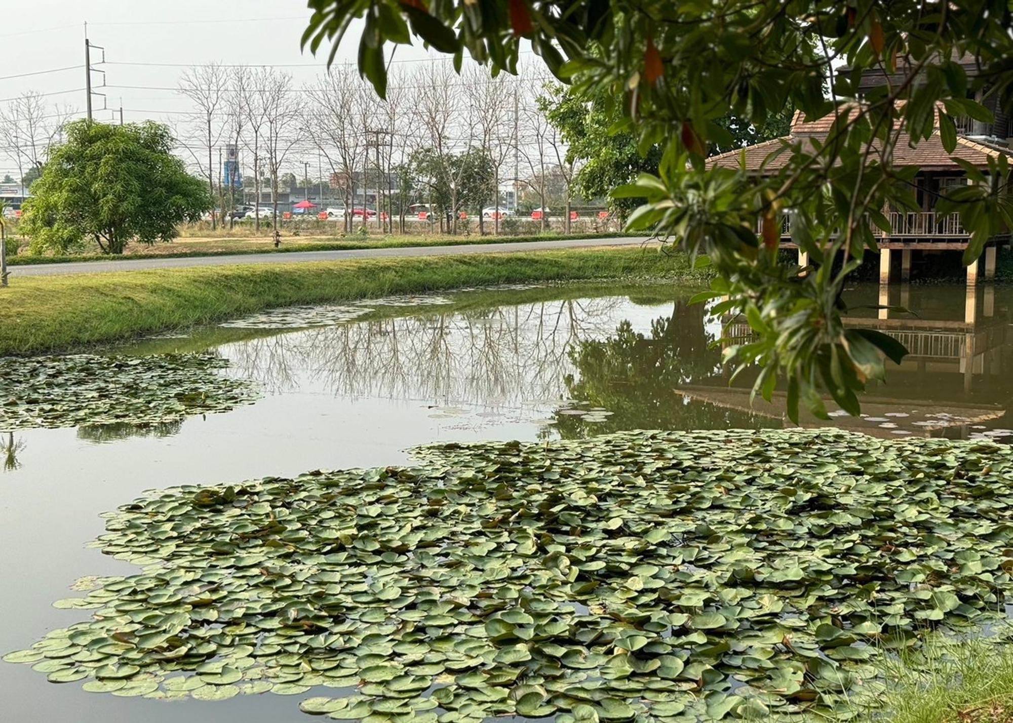 Karina Resort Chiang Mai Dış mekan fotoğraf
